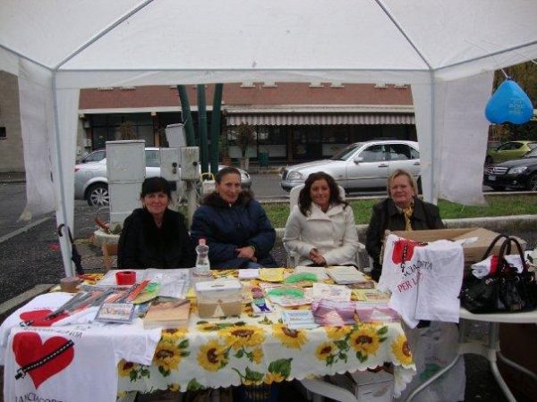 grande_manifestazione_croci_2009_008